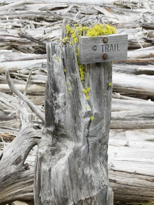 Framed Print : Washington State, Alpine Lakes Wilderness. Trail sign