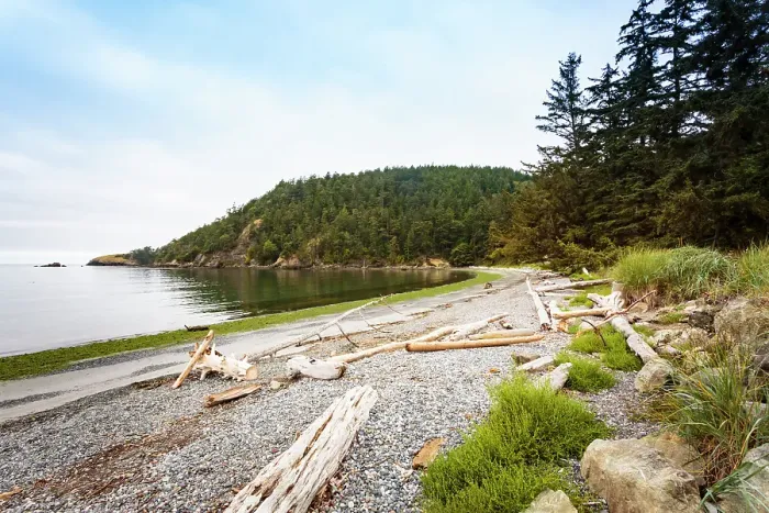 Framed Print : Washington State. Beach at Deception Pass State Park Framed Print : Washington State. Beach at Deception Pass State Park