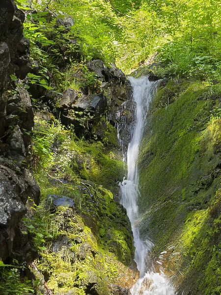 Washington State, Central Cascades, Waterfall at Kendall Peak