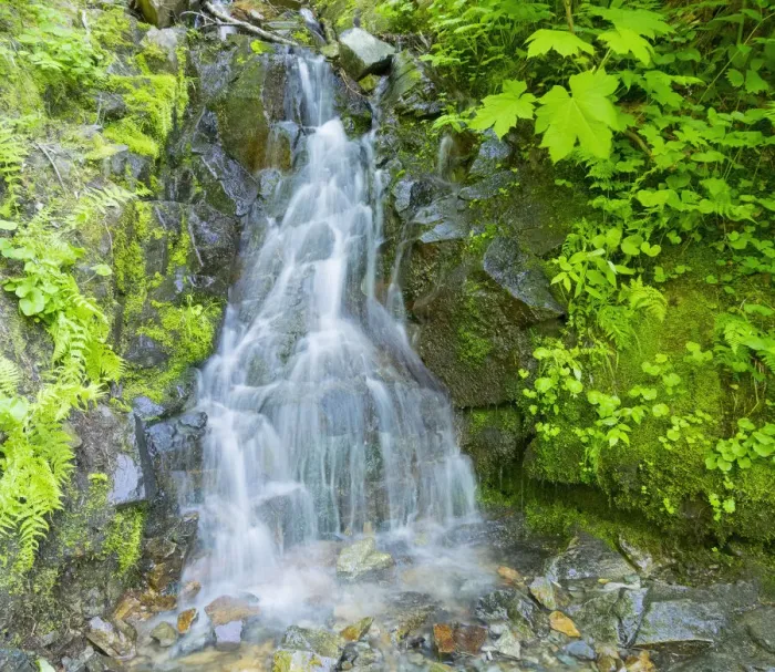 Framed Print : Washington State, Central Cascades, Waterfall, on trail to Annette Lake Framed Print : Washington State, Central Cascades, Waterfall, on trail to Annette Lake