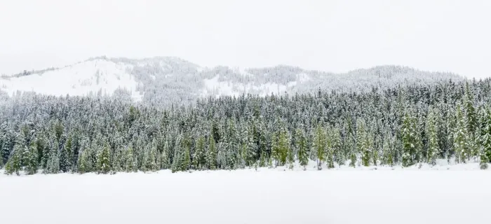 Framed Print : Washington State, Central Cascades. Winter at frozen Olallie Lake