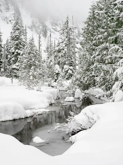 Framed Print : Washington State, Central Cascades. Granite Creek winter scene Framed Print : Washington State, Central Cascades. Granite Creek winter scene