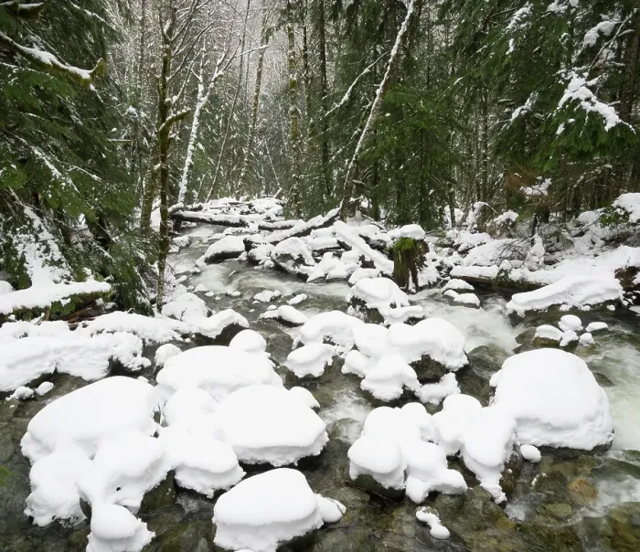 Framed Print : Washington State, Central Cascades. Mount Baker Snoqualmie National Forest, Martin Creek in winter with snow covered rocks Framed Print : Washington State, Central Cascades. Mount Baker Snoqualmie National Forest, Martin Creek in winter with snow covered rocks