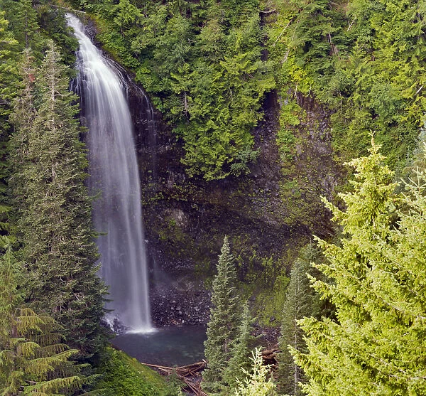 Washington State, Mount Rainier National Park. Martha Falls