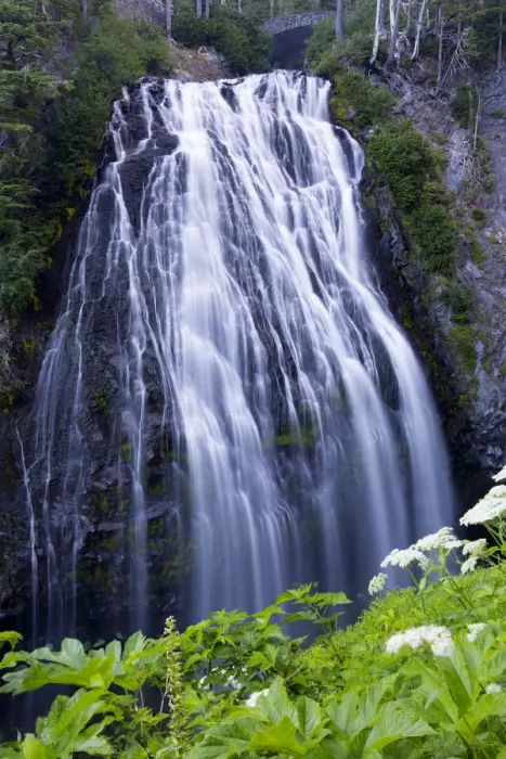 Framed Print : Washington State, Mount Rainier National Park. Narada Falls Framed Print : Washington State, Mount Rainier National Park. Narada Falls
