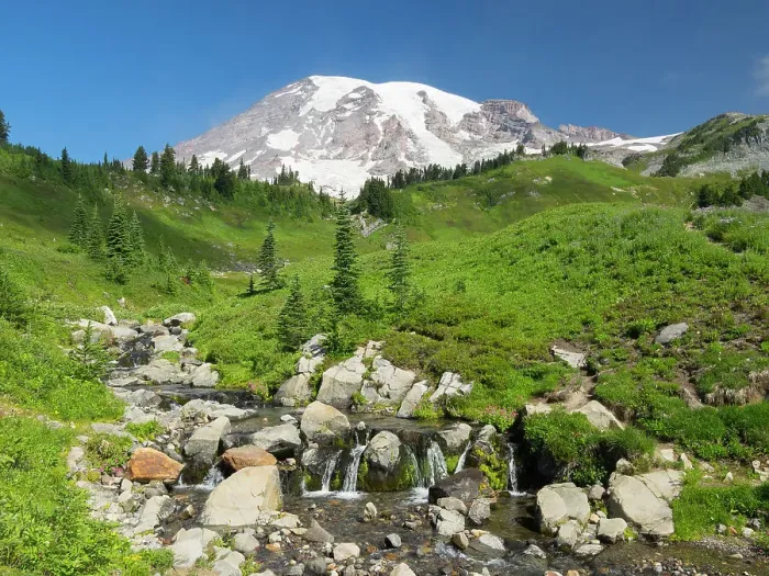 Framed Print : Washington State, Mount Rainier National Park. Edith Creek with snowcapped Mount Rainier Framed Print : Washington State, Mount Rainier National Park. Edith Creek with snowcapped Mount Rainier