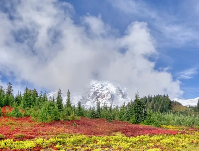 Framed Print : Washington State, Mount Rainier National Park. Mount Rainier with vibrant autumn colors and new snow on the mountain with swirling clouds