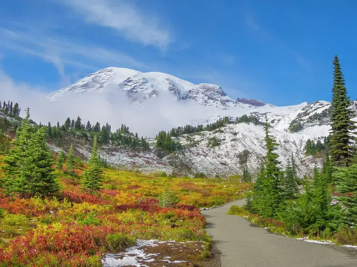 Framed Print : Washington State, Mount Rainier National Park. Mount Rainier with vibrant autumn colors and new snow on the mountain with clouds Framed Print : Washington State, Mount Rainier National Park. Mount Rainier with vibrant autumn colors and new snow on the mountain with clouds
