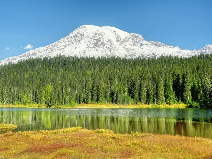 Framed Print : Washington State, Mount Rainier National Park. Autumn colored grasses and Mount Rainier with new snow, trees reflected in Reflection Lake Framed Print : Washington State, Mount Rainier National Park. Autumn colored grasses and Mount Rainier with new snow, trees reflected in Reflection Lake