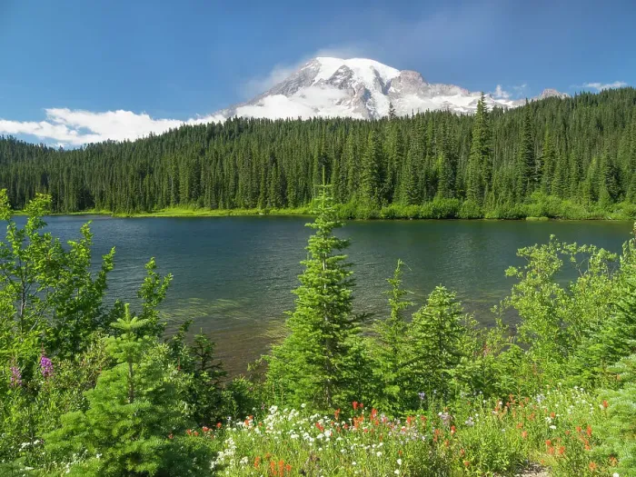 Framed Print : Washington State, Mount Rainier National Park. Mount Rainier with wildflowers at Reflection Lake