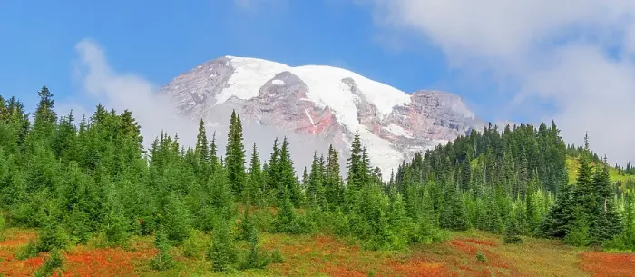Framed Print : Washington State, Mount Rainier National Park. Snow capped Mount Rainier with vibrant autumn colors Framed Print : Washington State, Mount Rainier National Park. Snow capped Mount Rainier with vibrant autumn colors