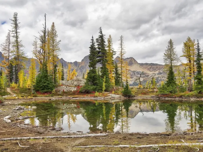 Framed Print : Washington State, Okanogan-Wenatchee National Forest. Alpine pond Framed Print : Washington State, Okanogan-Wenatchee National Forest. Alpine pond
