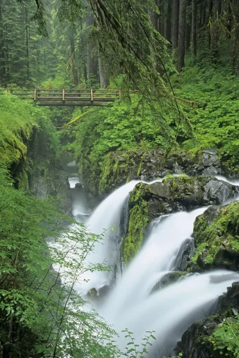 Framed Print : Washington State, Olympic National Park, Sol Duc Falls with bridge over Sol Duc River Framed Print : Washington State, Olympic National Park, Sol Duc Falls with bridge over Sol Duc River