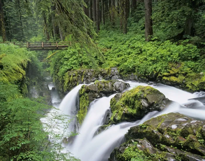 Framed Print : Washington State, Olympic National Park, Sol Duc Falls with bridge over Sol Duc River Framed Print : Washington State, Olympic National Park, Sol Duc Falls with bridge over Sol Duc River