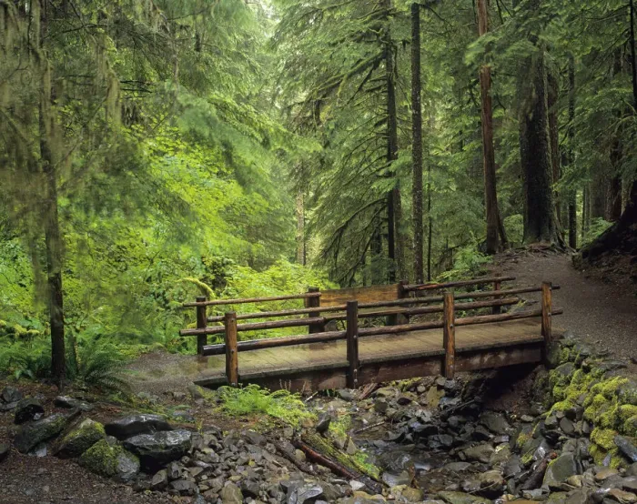 Framed Print : Washington State, Olympic National Park, Sol Duc Valley Framed Print : Washington State, Olympic National Park, Sol Duc Valley