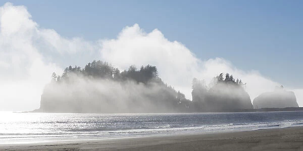 Washington State, Pacific Coast, First Beach. James Island in fog