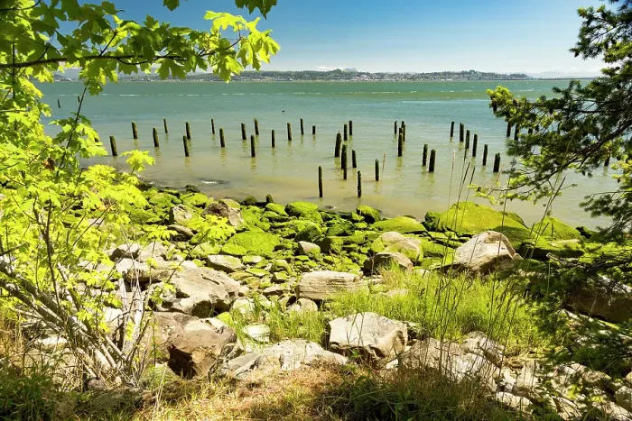 Framed Print : Washington State, Pacific County, Megler. Astoria Bridge. North Shore of the Columbia River. Seaweed covered piling, rocky beach
