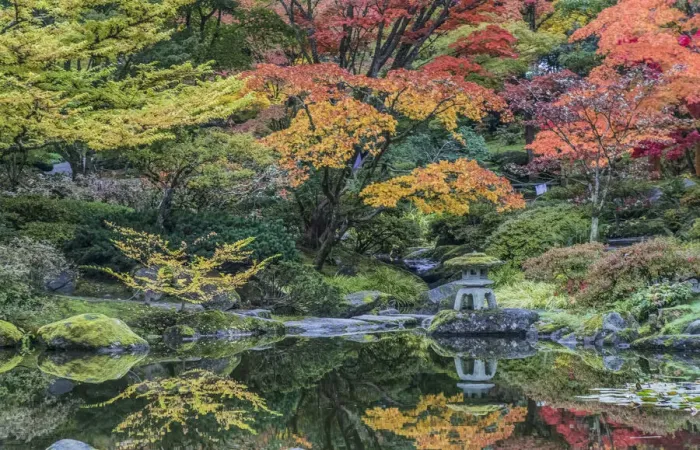 Framed Print : Washington State, Seattle. Autumn color, Japanese Garden Framed Print : Washington State, Seattle. Autumn color, Japanese Garden