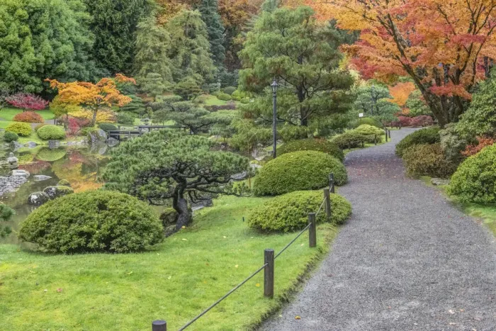 Framed Print : Washington State, Seattle. Autumn color, Japanese Garden Framed Print : Washington State, Seattle. Autumn color, Japanese Garden