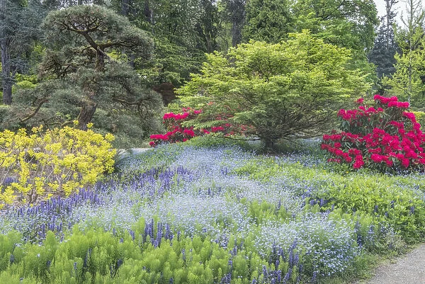 Washington State, Seattle. Kubota Garden