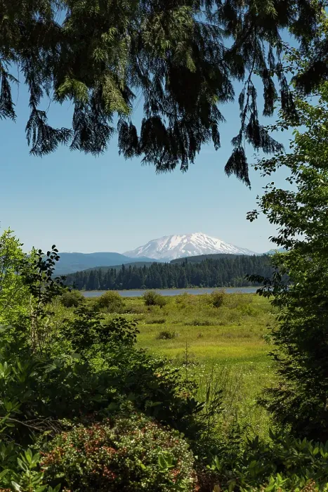 Framed Print : Washington State, Skamania County. Mount St. Helens or Louwala-Clough is an active stratovolcano Framed Print : Washington State, Skamania County. Mount St. Helens or Louwala-Clough is an active stratovolcano