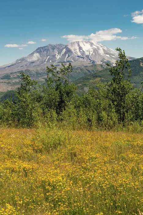 Framed Print : Washington State, Skamania County. Mount St. Helens or Louwala-Clough is an active stratovolcano Framed Print : Washington State, Skamania County. Mount St. Helens or Louwala-Clough is an active stratovolcano