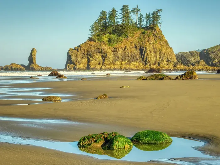 Framed Print : Washington State, USA. Olympic National Park, Second Beach, seagrass covered rocks in tide pool and seastacks at low tide Framed Print : Washington State, USA. Olympic National Park, Second Beach, seagrass covered rocks in tide pool and seastacks at low tide