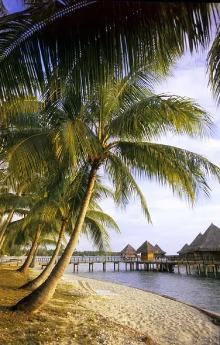 Framed Print : Over water bungalows on Rangiroa, French Polynesia Framed Print : Over water bungalows on Rangiroa, French Polynesia