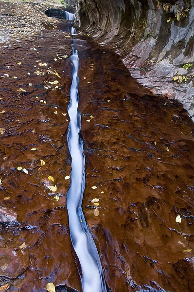 Water cuts a narrow channel through the red sandstone in the Left Fork of the Virgin