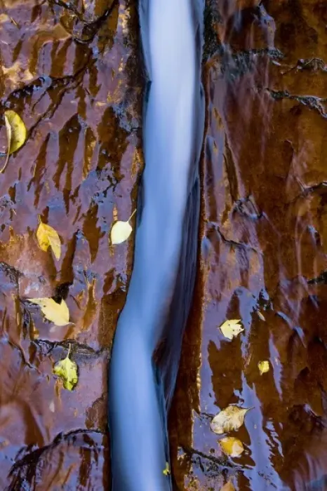 Framed Print : Water cuts a narrow channel through the red sandstone in the Left Fork of the Virgin