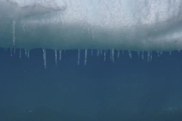 water dripping from icicles hanging along an iceberg, western Antarctic peninsula