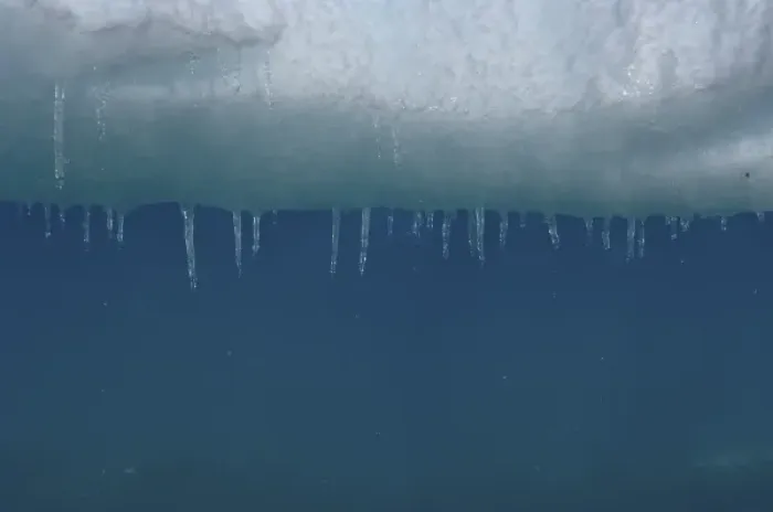Framed Print : water dripping from icicles hanging along an iceberg, western Antarctic peninsula