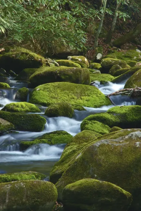 Framed Print : Water Falling over Boulders on Roaring Fork Motor Nature Trail