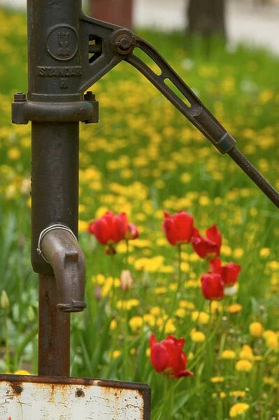 water pump, Czech Republic, Znojmo