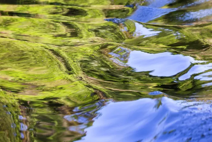 Framed Print : Water reflections behind small boat in the Pantanal region, Mato Grosso, Brazil, South America