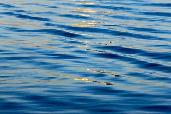 Water ripples, Chobe National Park. North-West District, Botswana
