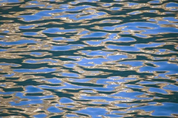 Framed Print : Water ripples with sunlight reflection, South Georgia, Antarctica Framed Print : Water ripples with sunlight reflection, South Georgia, Antarctica