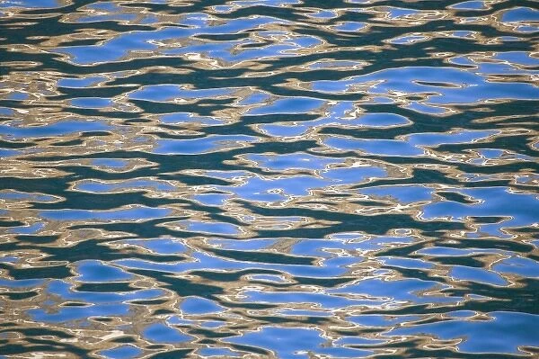 Water ripples with sunlight reflection, South Georgia, Antarctica
