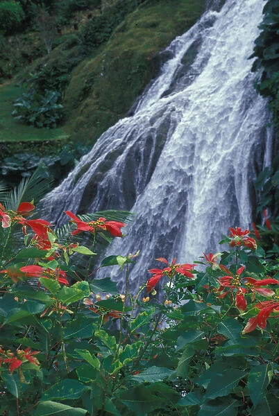 Waterfall. Caribbean, Jamaica, Waterfall, Ochos Rios, Shaw Park Gardens