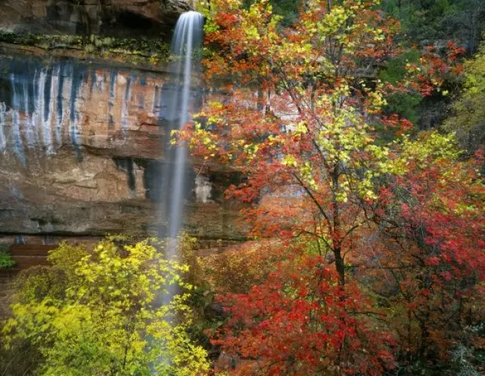 Framed Print : Waterfall, bigtooth maple (Acer grandidentatum), canyon wild grape (Vitis arizonica) and box elder