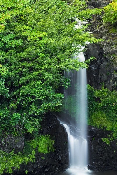 Waterfall on the Hamakua Coast, Big Island, Hawaii, USA