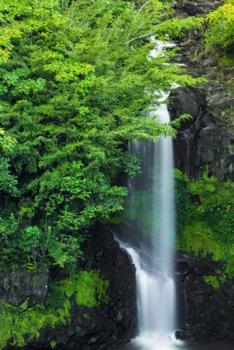 Framed Print : Waterfall on the Hamakua Coast, Big Island, Hawaii, USA