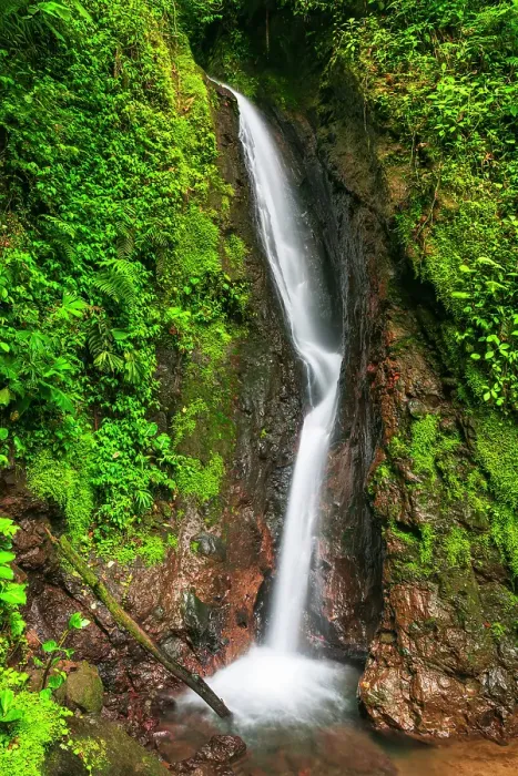 Framed Print : Waterfall at Mistico Hanging Bridges, Alajuela Province, Costa Rica Framed Print : Waterfall at Mistico Hanging Bridges, Alajuela Province, Costa Rica