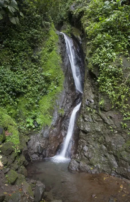 Framed Print : Waterfall in Mistico Hanging Bridges Park, Costa Rica Framed Print : Waterfall in Mistico Hanging Bridges Park, Costa Rica