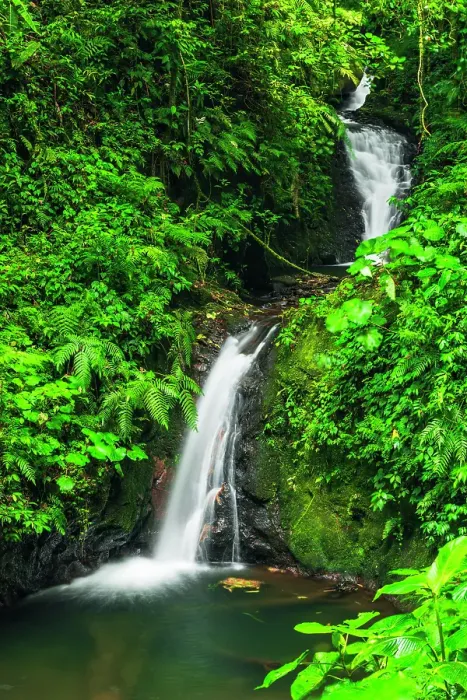 Framed Print : Waterfall in Monte Verde Cloud Forest Preserve, Alajuela Province, Costa Rica Framed Print : Waterfall in Monte Verde Cloud Forest Preserve, Alajuela Province, Costa Rica