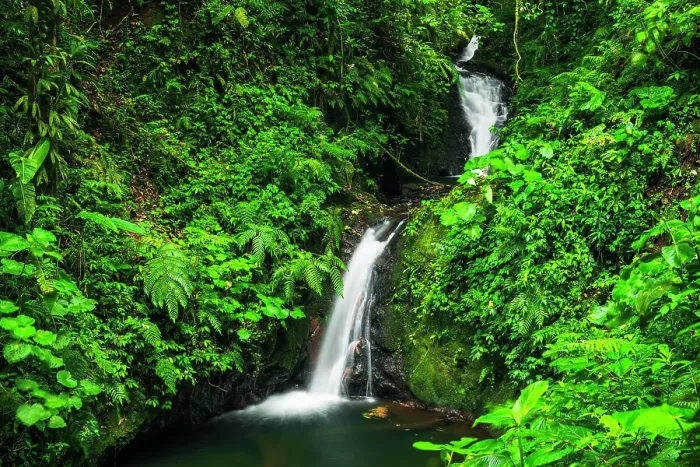 Framed Print : Waterfall in Monte Verde Cloud Forest Preserve, Alajuela Province, Costa Rica