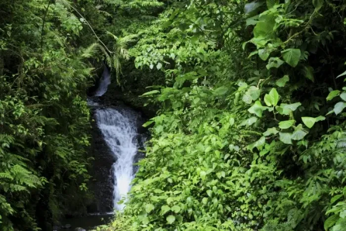 Framed Print : Waterfall, Monteverde Cloud Forest, Costa Rica