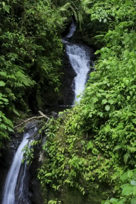 Framed Print : Waterfall, Monteverde Cloud Forest, Costa Rica Framed Print : Waterfall, Monteverde Cloud Forest, Costa Rica