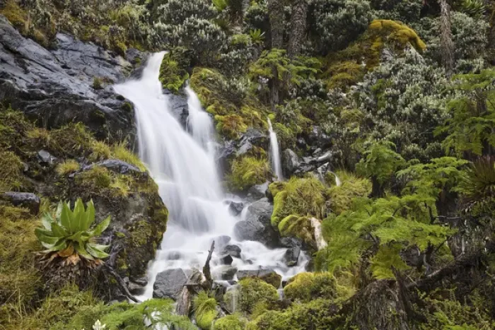 Framed Print : Waterfall at Mount Stanley, Ruwenzori, Uganda