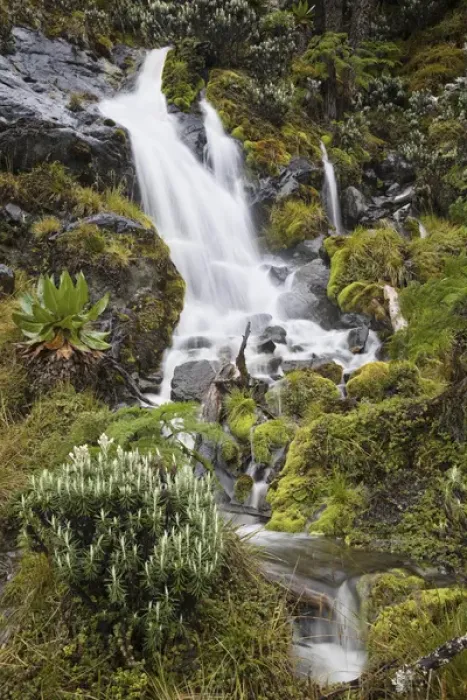 Framed Print : Waterfall at Mount Stanley, Ruwenzori, Uganda